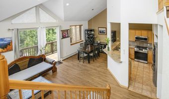 1082 W Wildwood Rd C, Avon, CO 81620