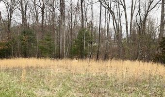 Della Lane lot 6 8, Austinville, VA 24312