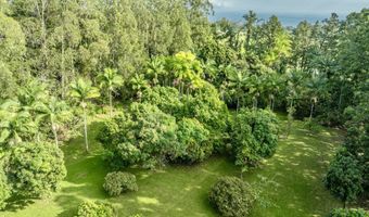 29-509 CHIN CHUCK Rd, Hakalau, HI 96710