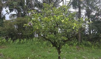 15-1788 8TH Ave, Keaau, HI 96749