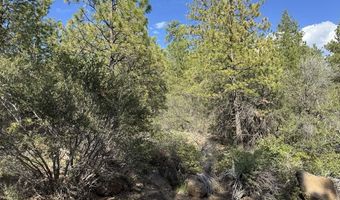 Thunderbear Road 46, Bonanza, OR 97623