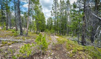 NHN Rosa Trail, Anaconda, MT 59711