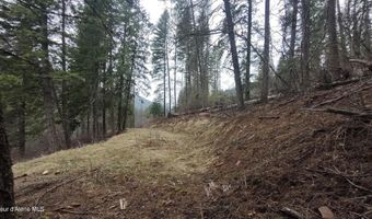 480 Dunn Peak Rd, Avery, ID 83802