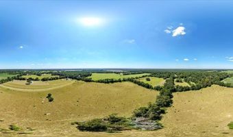 232 344 County Road 344, Bell, FL 32619