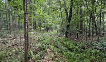 Fritz Run Rd, Ballard, WV 24918