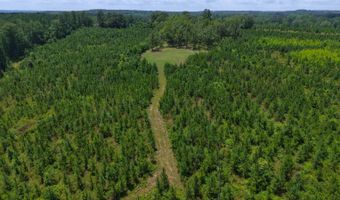 County Road 53, Banks, AL 36005