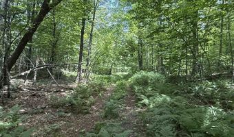 392 Sicard Rd, Brookfield, VT 05036