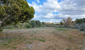 Bugling Bull Road, Cold Creek, NV 89124
