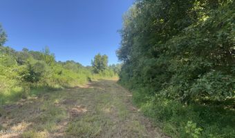 001 Farr Rd, Bolton, MS 39041