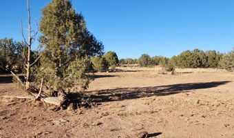88- B Rose Ln, Ash Fork, AZ 86320