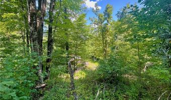 565 Grays Shadow Ln, Banner Elk, NC 28604