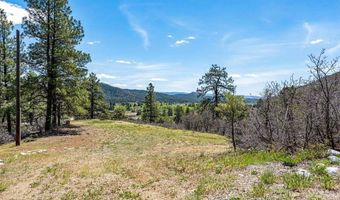 1188 Ludwig Dr, Bayfield, CO 81122