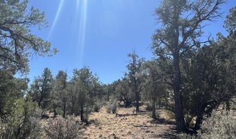 212 Arizona Rd, Ash Fork, AZ 86320