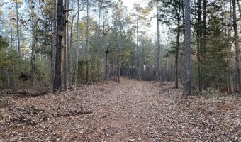 Tbd Spann Road, Batesburg Leesville, SC 29006