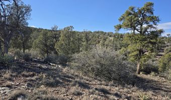 446 Arizona Rd, Ash Fork, AZ 86320