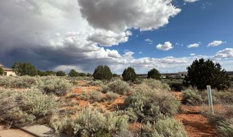 1131 E Red Sage Ln, Apple Valley, UT 84737
