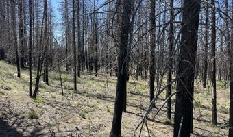 Off Hicks Road Lot 3, Bly, OR 97622