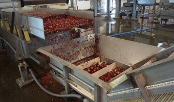 54981 MORRISON Rd, Bandon, OR 97411