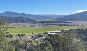 440 Run Around Rd, Arboles, CO 81121