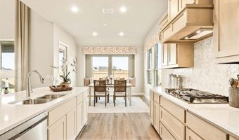 2017 Amber Gate Dr, Anna, TX 75409