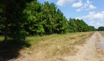000 Stokes Rd, Bald Knob, AR 72010