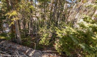 271 E Deer Trl, Brian Head, UT 84719