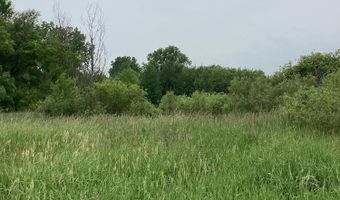 16400 Zuehlke Rd, Albion, MI 49224