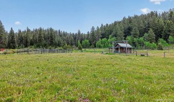 185 Lantern Way, Cascade, ID 83611