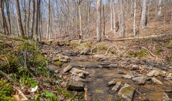 163 Acres Duck Springs Rd, Attalla, AL 35954