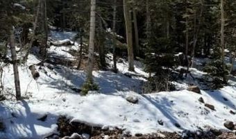 641 N Hwy 143, Brian Head, UT 84719