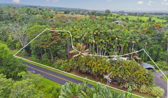 98 KAIWIKI Rd, Hilo, HI 96720
