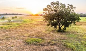 167 County Road 1475, Alvord, TX 76225
