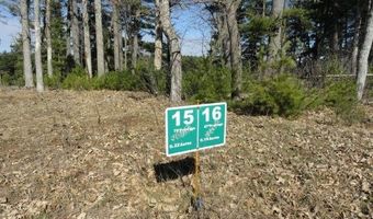 Lot 16 Fly Rod Trail, Wisconsin Rapids, WI 54494