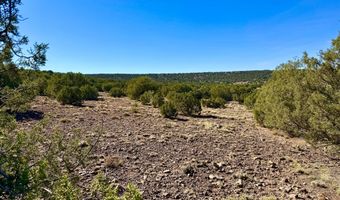 Kirkland DR 20 Acres, Concho, AZ 85924