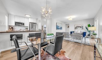 599 Jackson St, Albany, CA 94706