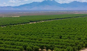 17116 S Vuelta Las Hebras, Sahuarita, AZ 85629