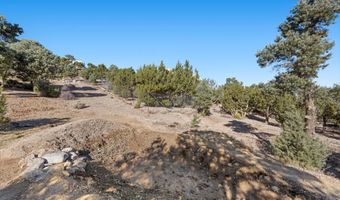 159 Eagle Nest Cir, Cold Creek, NV 89124