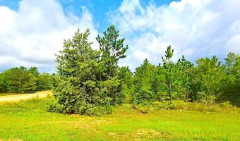 FAIRVIEW ROAD, Alford, FL 32420