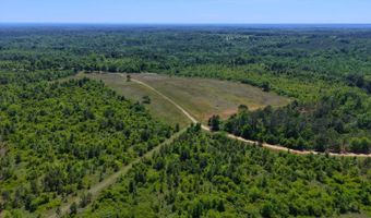 County Road 38, Autaugaville, AL 36003
