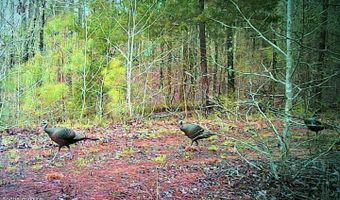 8411 Tn-69a, Big Sandy, TN 38221