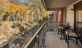 1020 E Hopkins Ave 9, Aspen, CO 81611