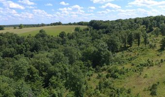 22017 E State Hwy 76, Ava, MO 65608