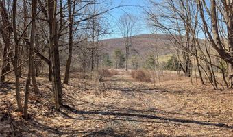 State Highway 28, Andes, NY 13731