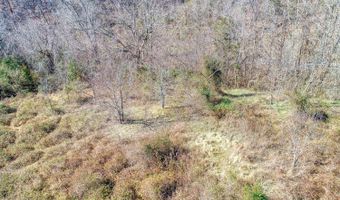 00 Rhondas Way, Bean Station, TN 37708
