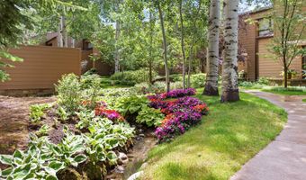 155 Lone Pine Rd 8, Aspen, CO 81611