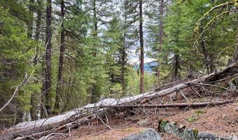 Tbd Hilltop Rd, Cascade, ID 83611