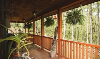 701 Ridgetop Rd, Bastian, VA 24314