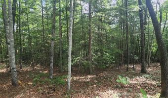 20 Bluff View Loop, Allardt, TN 38504