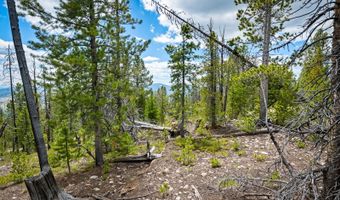 NHN Rosa Trail, Anaconda, MT 59711