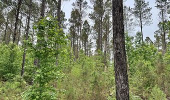 Mount Carmel Road, Bailey, MS 39320